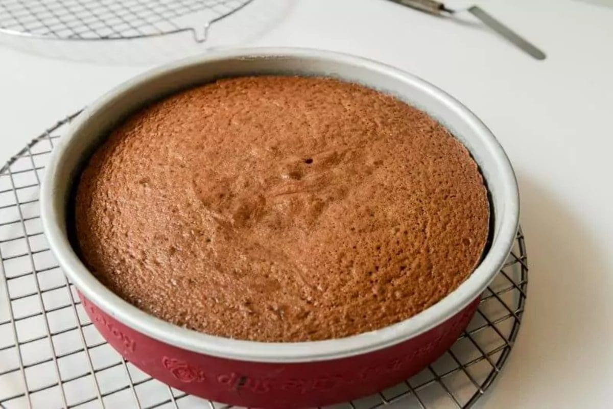 طريقة عمل الكيكة الهشة والطرية.. سهلة وسريعة بعشر دقائق فقط