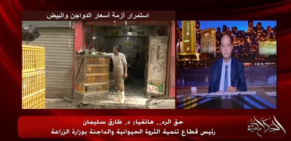 عمرو أديب لرئيس قطاع الثروة الحيوانية "محلات الدواجن أغلقت بسبب ارتفاع الأسعار"