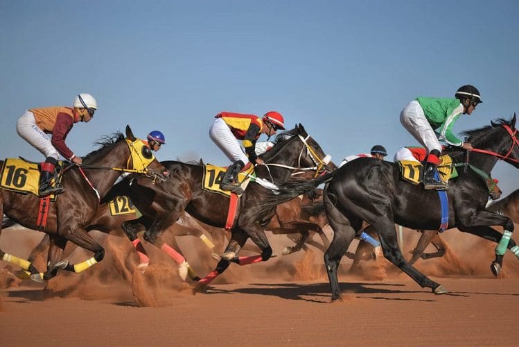 نادي سباقات الخيل في السعودية