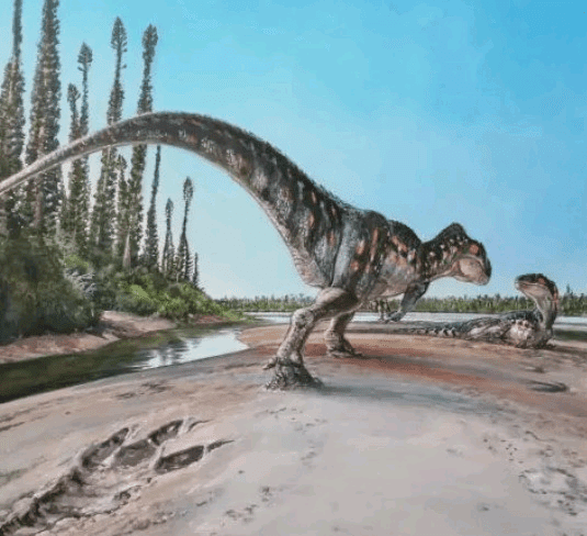 رسم توضيحي لشكل ديناصور ميجالوصور العملاق 