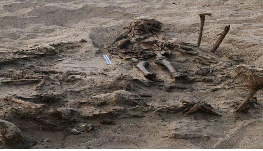 اكتشاف مقبرة غامضة قديمة دفن فيها طفل و 142 كلب داخل مصر "حيرت علماء الآثار" 