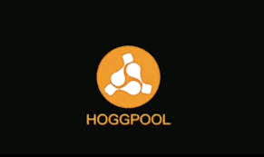 ما هو تطبيق «Hoog pool»؟