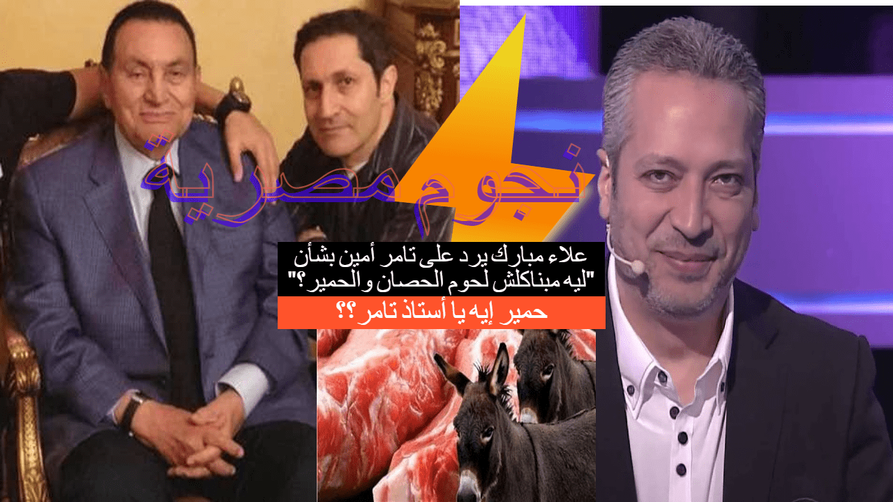 رد علاء مبارك على تامر أمين بخصوص لحوم الحمير