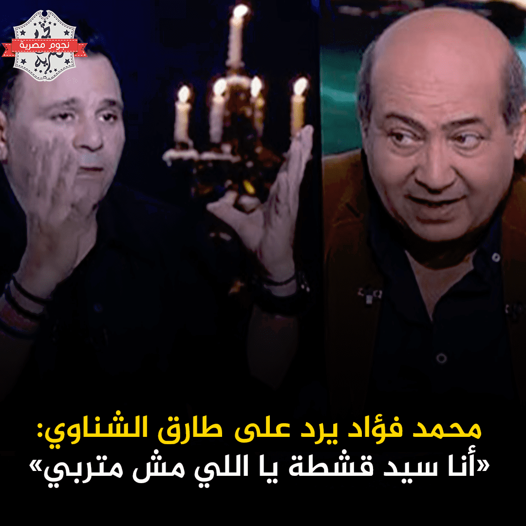 محمد فؤاد وطارق الشناوي