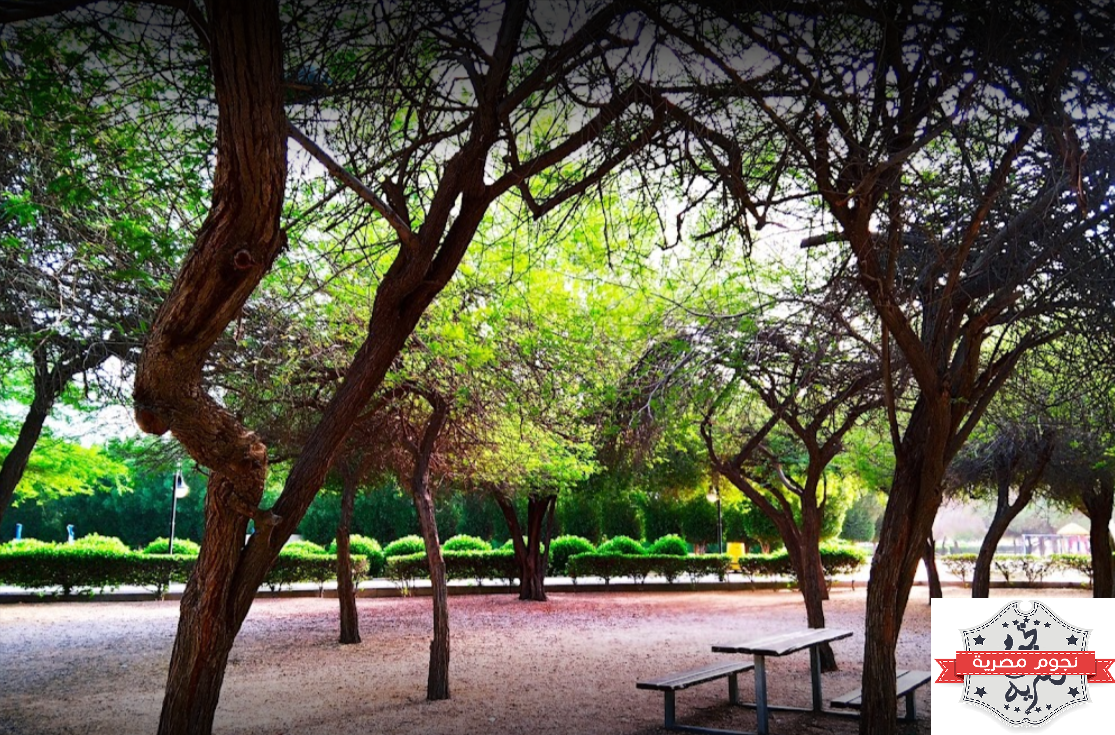 حديقة محمد بن القاسم بالرياض