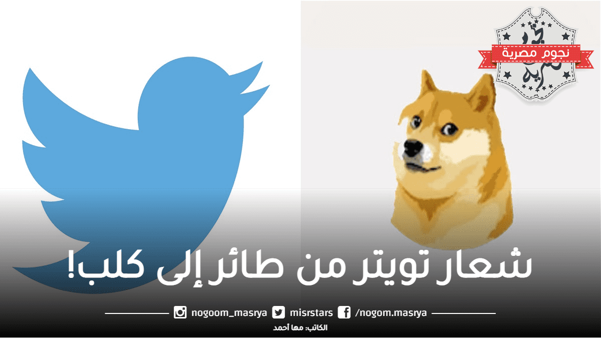 ماسك يغير شعار تويتر من طائر إلى كلب