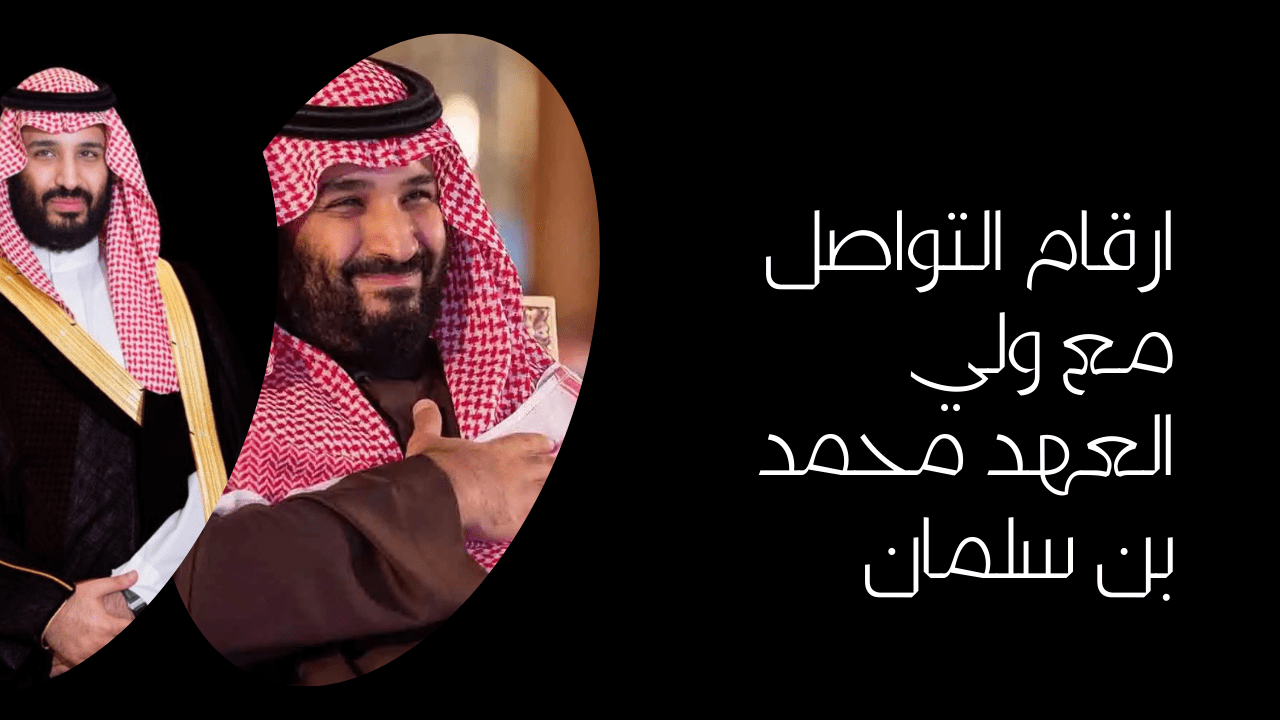 التواصل مع مكتب الأمير محمد بن سلمان