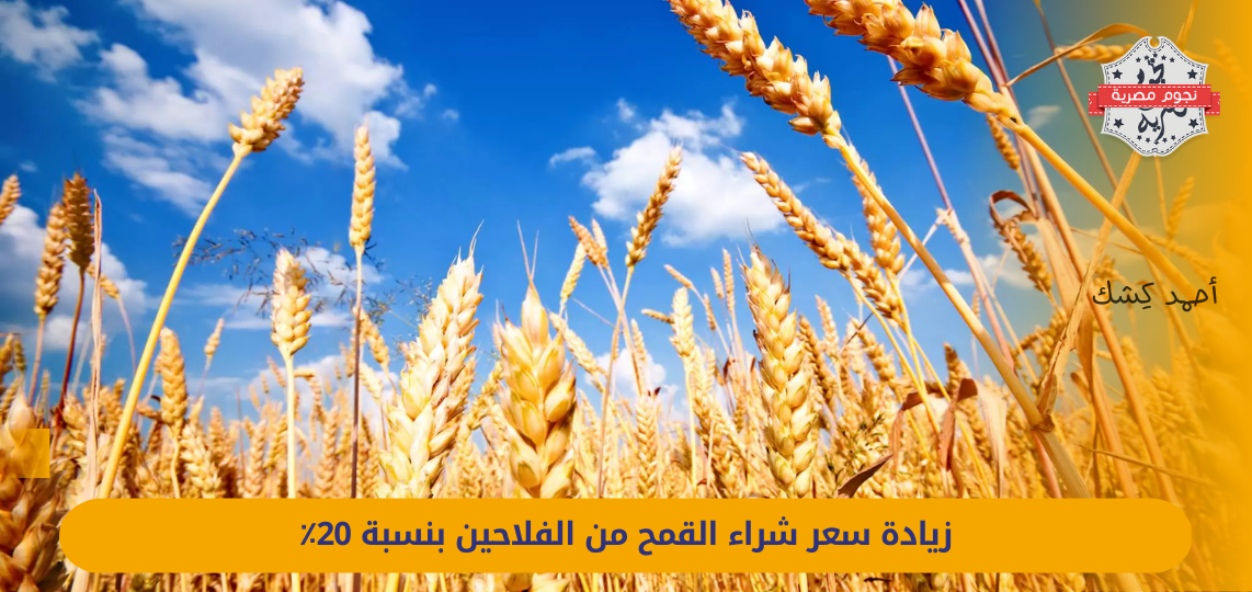 Increasing the purchase price of wheat from farmers by 20%: Is this an increase enough to improve agricultural production in Egypt?