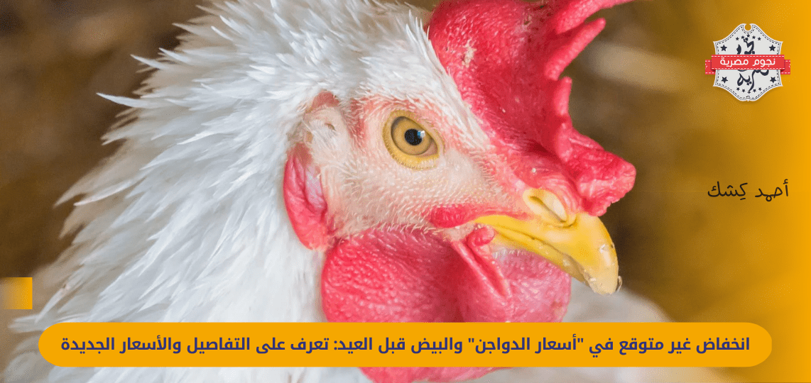 Unexpected drop in "poultry prices" and eggs before Eid: Learn about the new details and prices