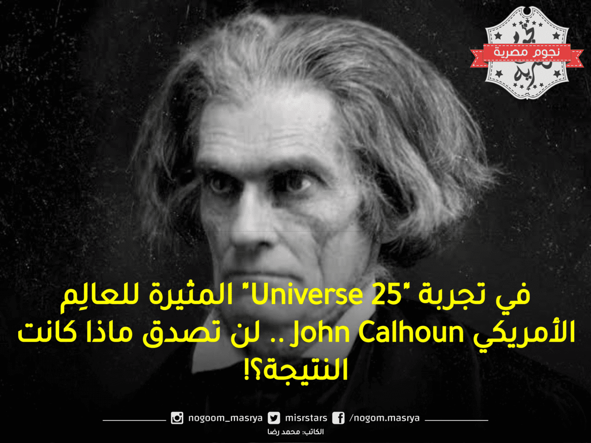 في تجربة "Universe 25" المثيرة للعالِم الأمريكي John Calhoun .. لن تصدق ماذا كانت النتيجة؟!