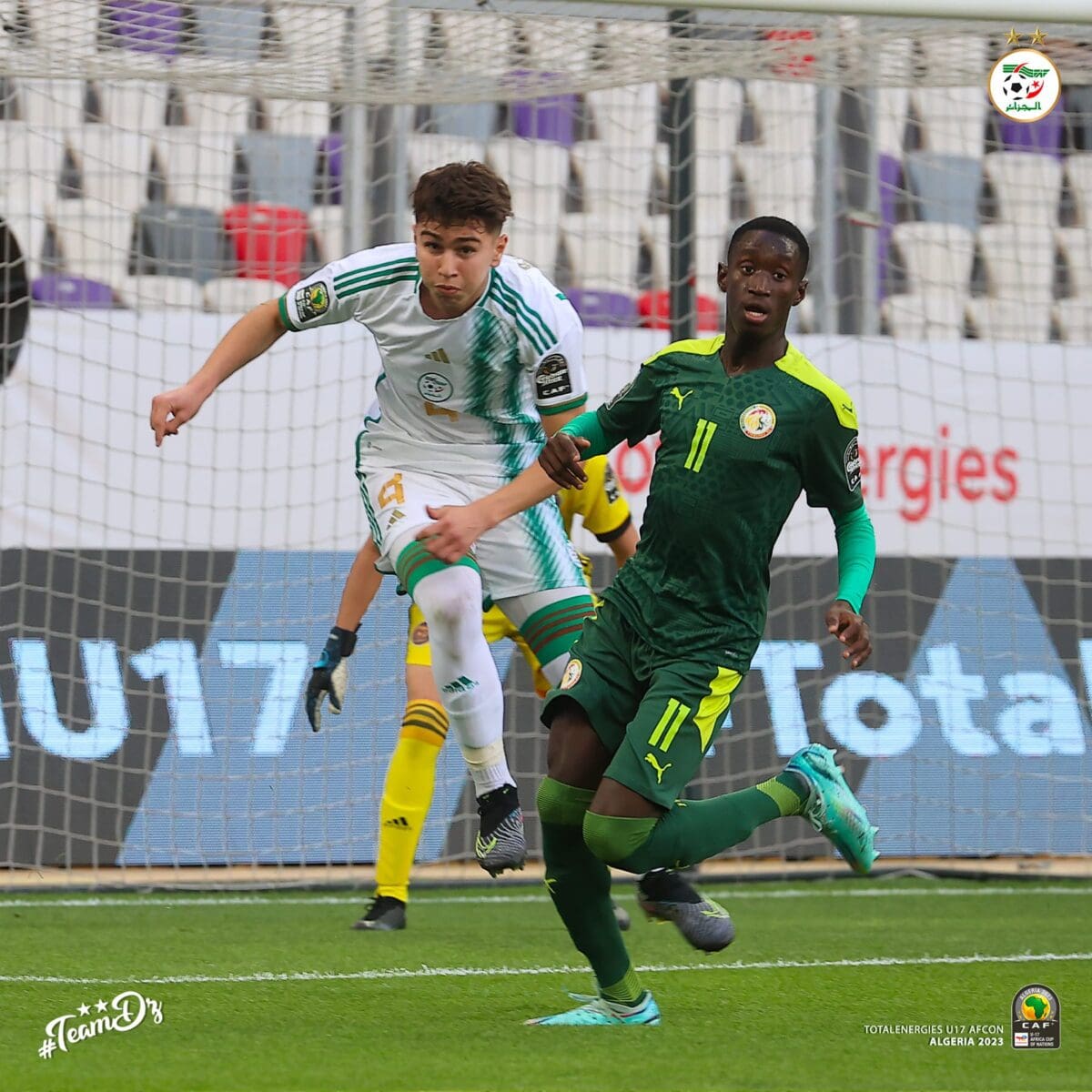 مباراة الجزائر والسنغال اليوم