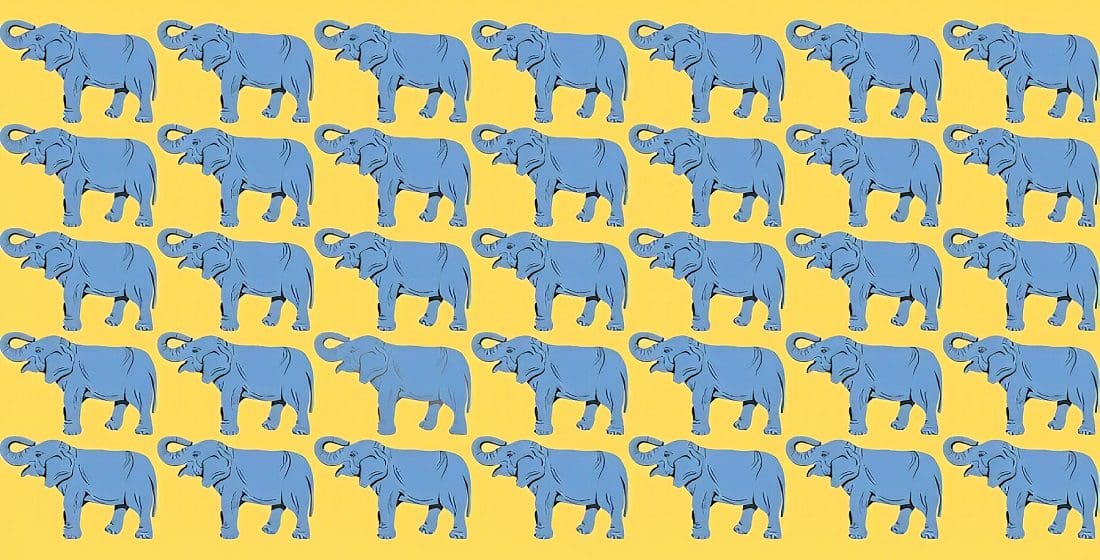 من يستطيع اكتشاف الفيل المختلف