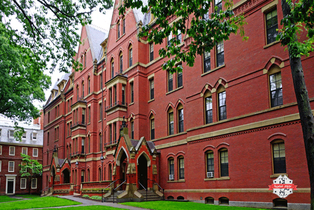 شروط القبول في جامعة هارفارد 4