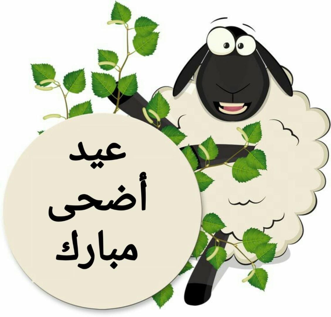 - صورة 8 - أجدد بطاقات تهنئة عيد الأضحى المبارك 2023.. كروت معايدة بالعيد الكبير للأهل والأصحاب