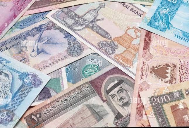 صورة تشير إلى مجموعة من العملات العربية.