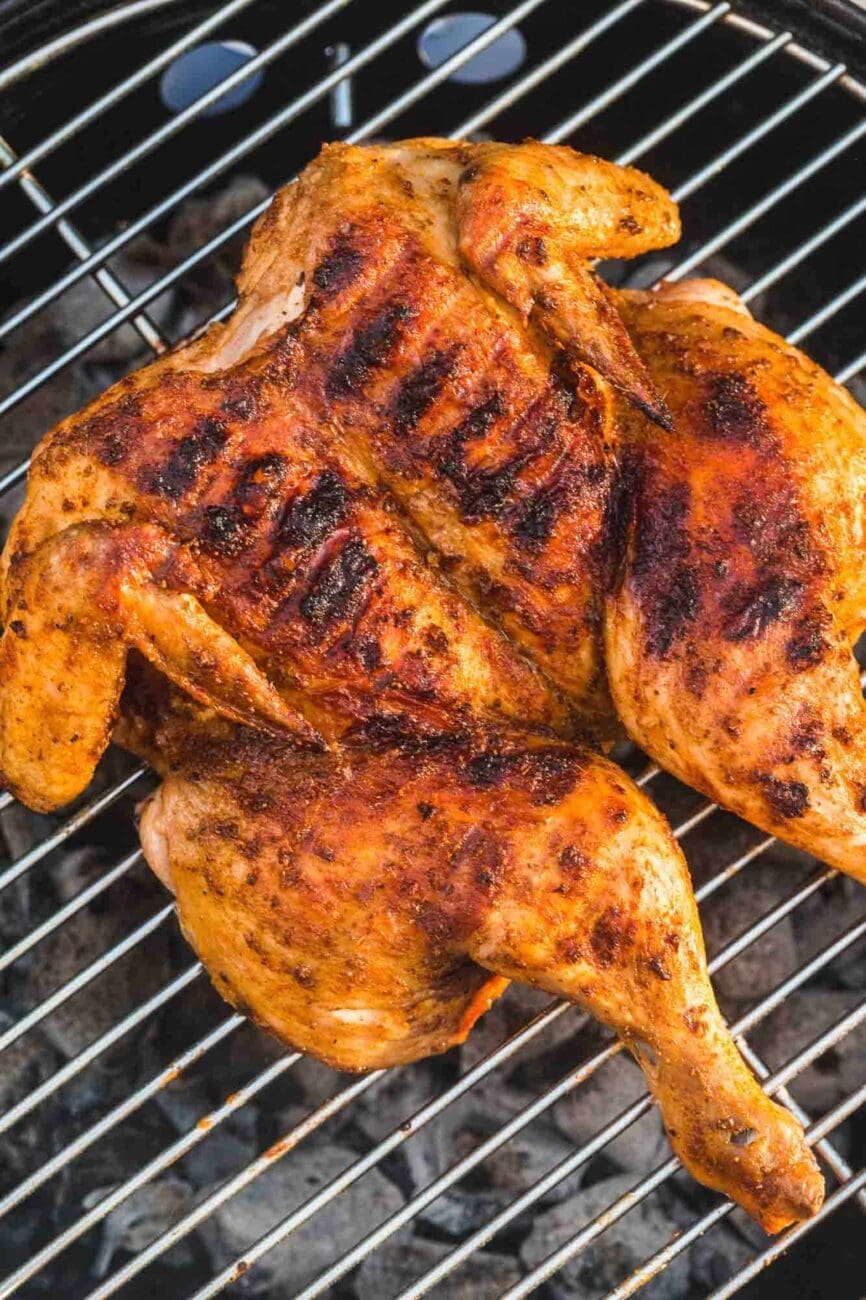 الدجاج المشوي من الطرق اللذيذة لطهي الدجاج صورة الدجاجة على الشواية