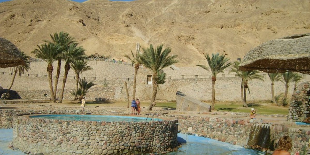 السياحة العلاجية في مصر صورة ذات خلفية رملية صفراء ونخيل 