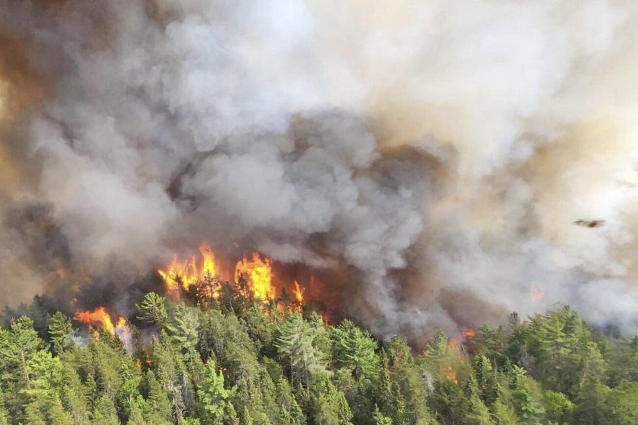 حرائق الغابات في كندا هي الأسوأ على الإطلاق.
