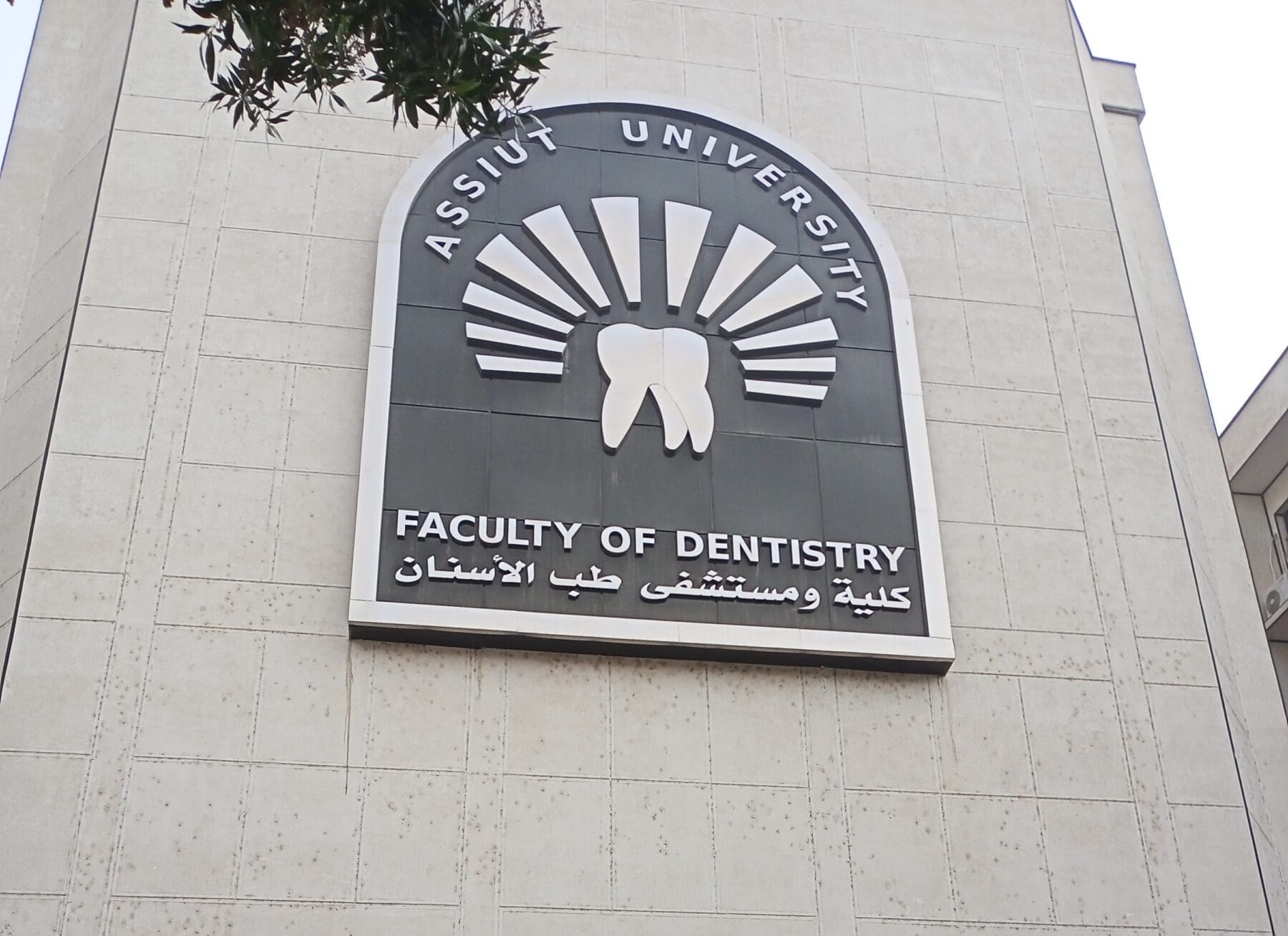 تنسيق كلية طب الاسنان 2023