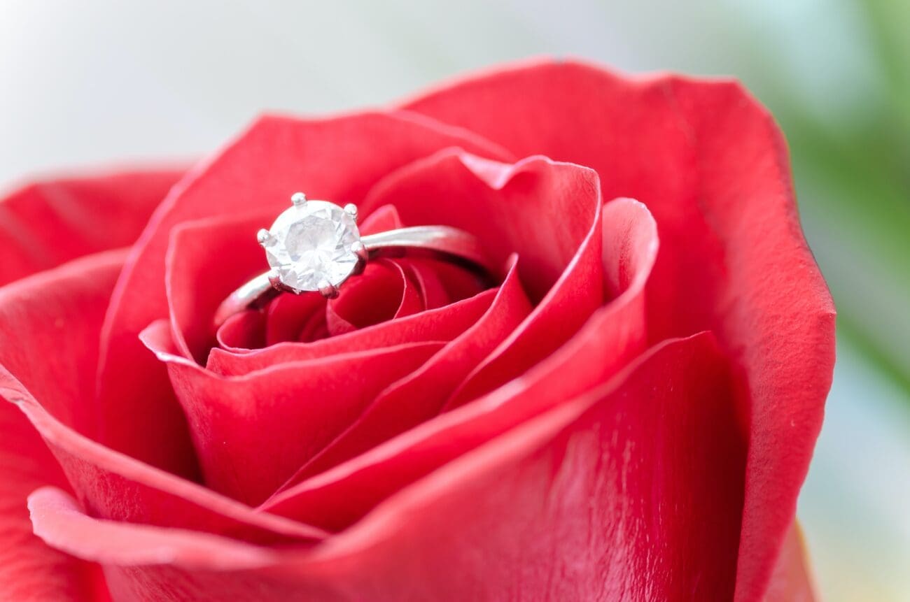 صورة وردة رومانسية حمراء حلوة بها خاتم