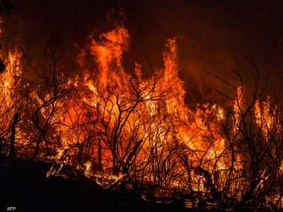 اندلاع حرائق بغابات الساكت بإقليم بلدية بجاية في الجزائر _ المصدر: سكاي نيوز عربية