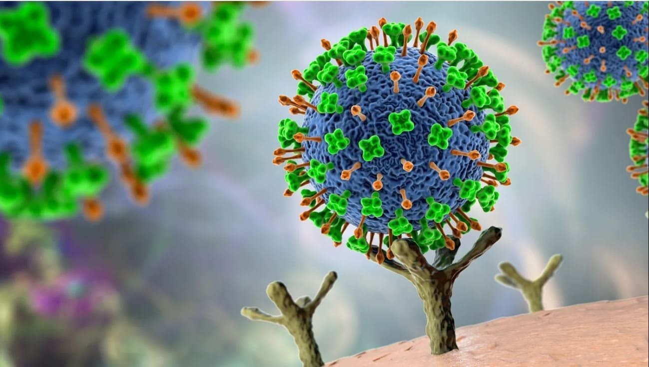 فيروس نيباه - مصدر الصورة منصة اكس