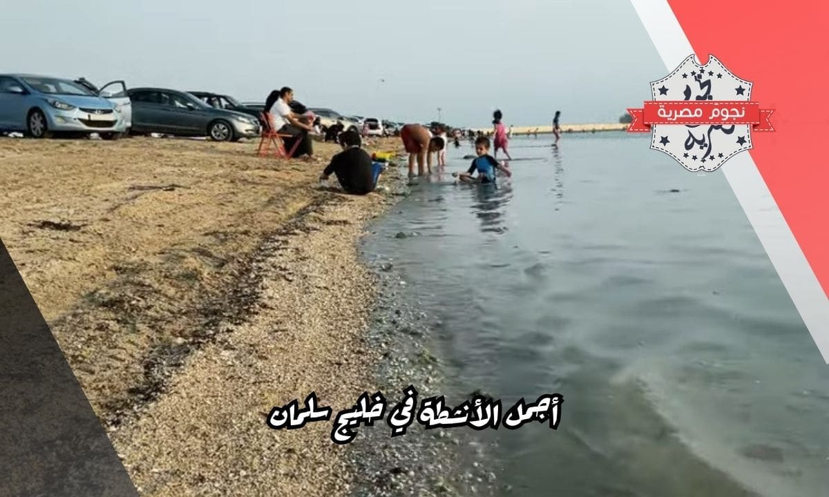 أجمل الأنشطة في خليج سلمان