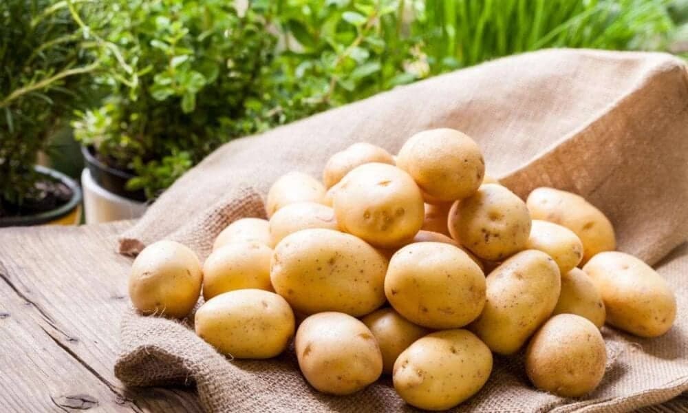 ارتفاع أسعار البطاطس في السوق السعودي