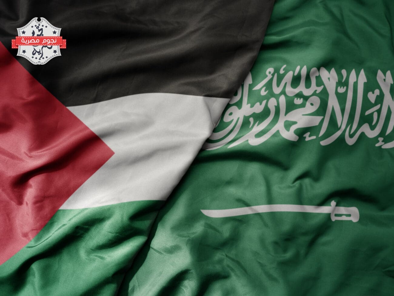 المملكة العربية السعودية وفلسطين 