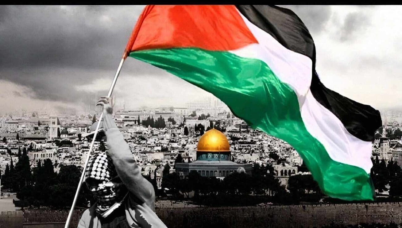 نشاة وتطور المقاومة الفلسطينية
