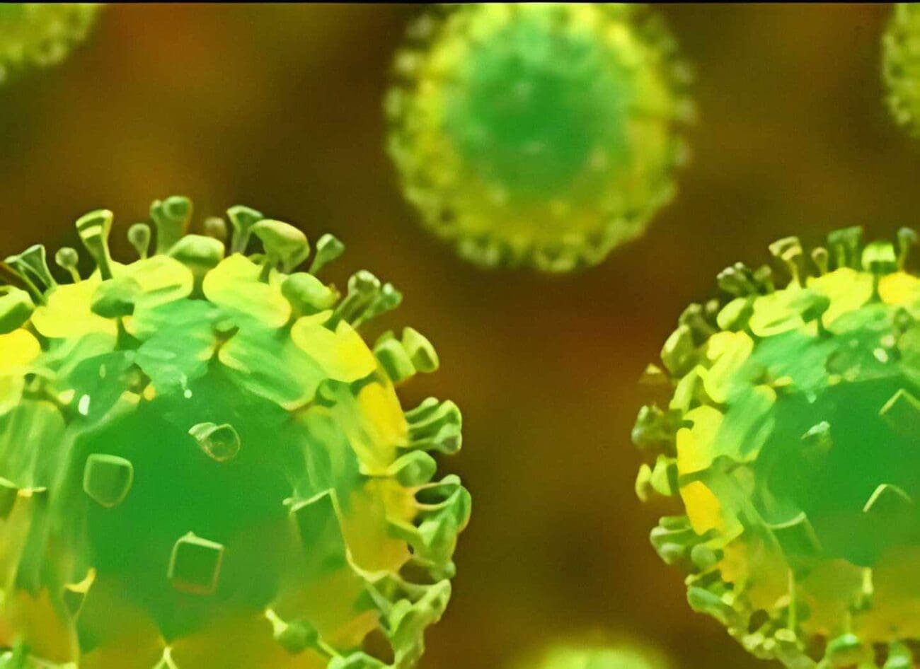 منظمة الصحة العالمية: نتوقع وباء إكس