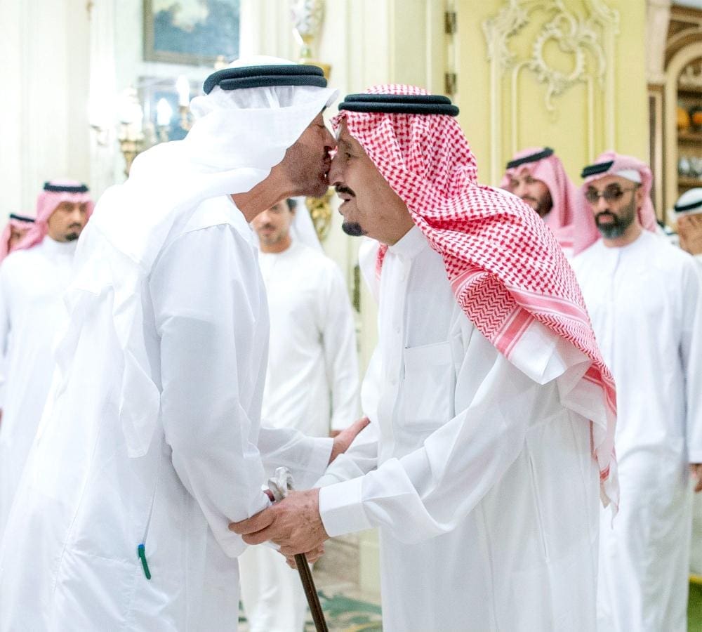 الملك سلمان والشيخ محمد بن زايد - مصدر الصورة: جوجل