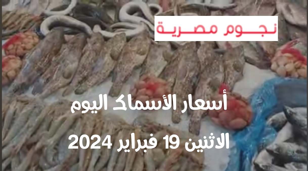 أسعار الأسماك اليوم الاثنين 19 فبراير 2024