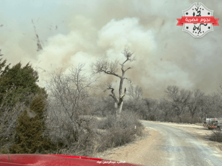 جانب من حرائق الغابات في تكساس