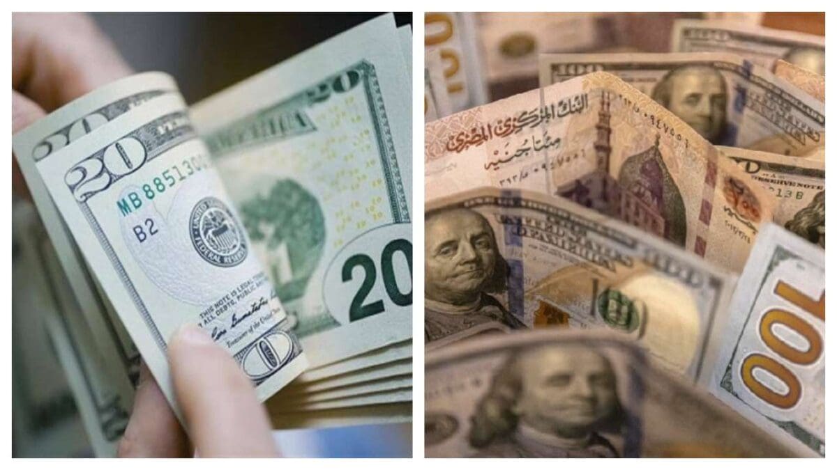 "اقترب من 50 جنيهًا".. سعر الدولار اليوم في مصر الأربعاء 6 مارس 2024 (لحظة بلحظة)