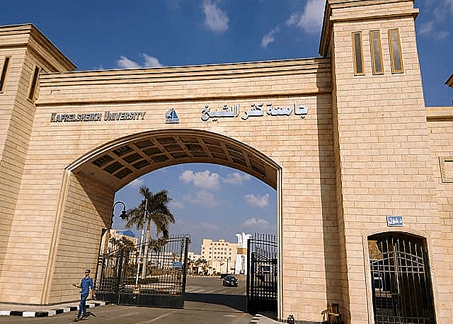 جامعة كفر الشيخ: نحرص على نشر الوعي المجتمعي لتقوية الأسرة المصرية