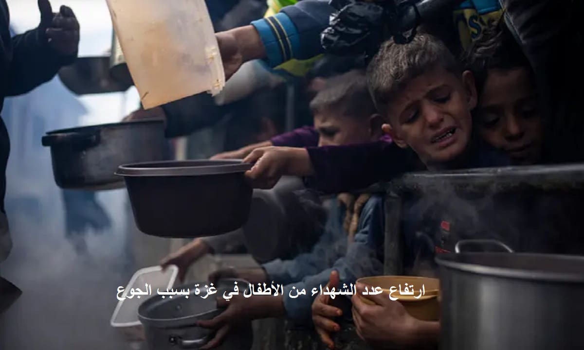 عاجل| ارتفاع عدد الشهداء من الأطفال في غزة بسبب المجاعة وسوء التغذية.. والصحة تكشف التفاصيل