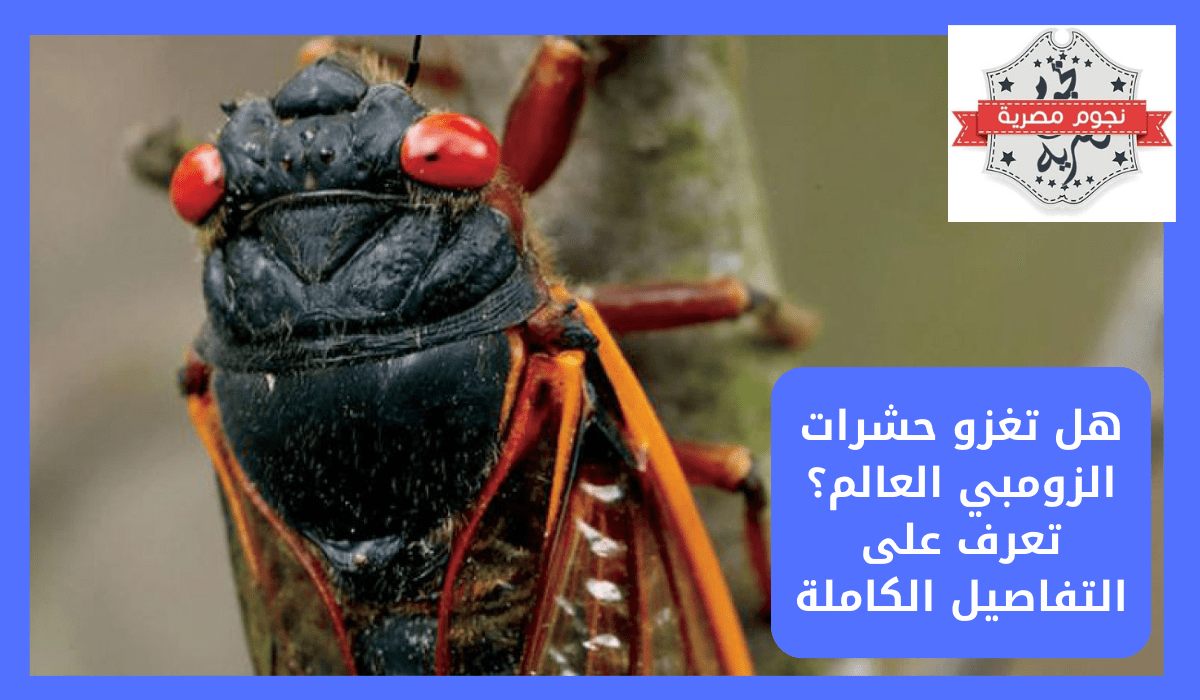 هل تغزو حشرات الزومبي العالم؟ تعرف على التفاصيل الكاملة